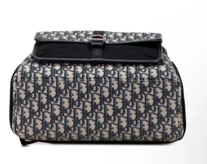 Dior backpack